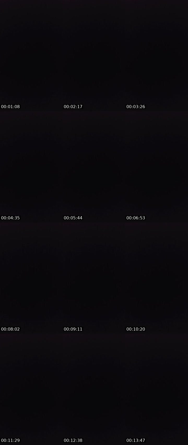 Contact-sheet preview of 〄ᶫ LΞG i̶〄И's MICO Live recording