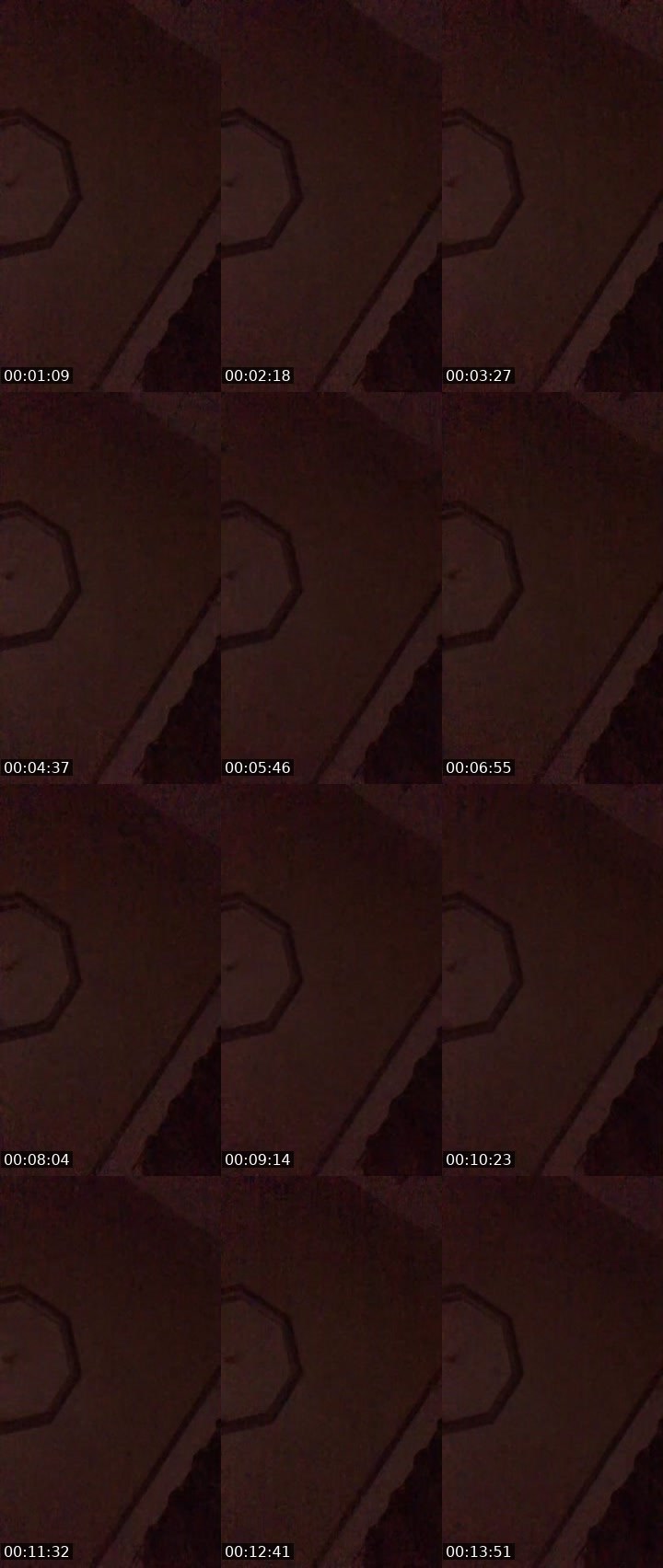 Contact-sheet preview of 🌠 ᵇʳᵏᵗ JENNIE.NOVA☄️'s MICO Live recording