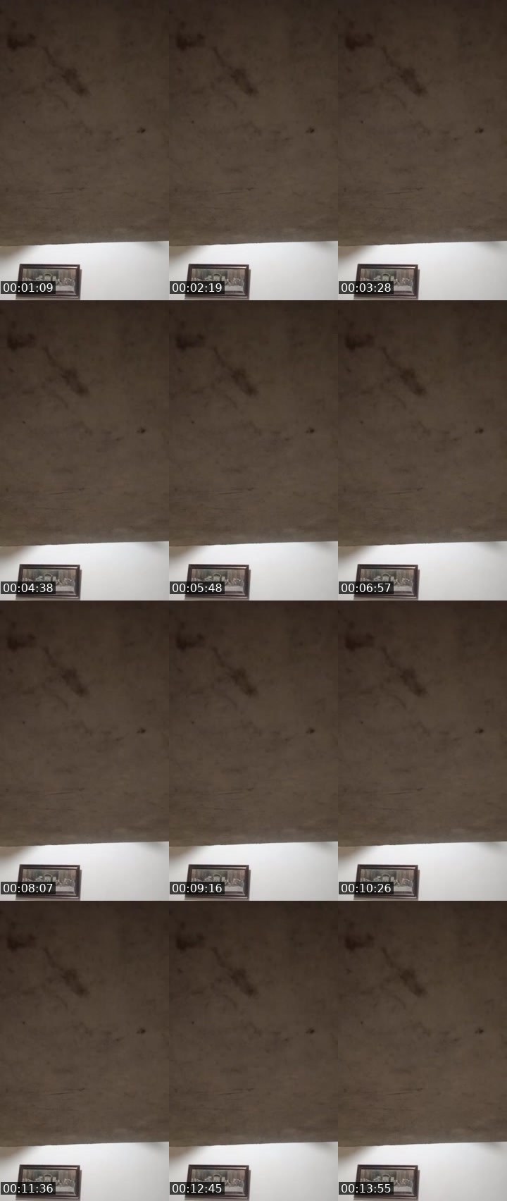 Contact-sheet preview of ☪️🐈Miley_🍁MHA🪽⁷⁷⁴¹'s MICO Live recording