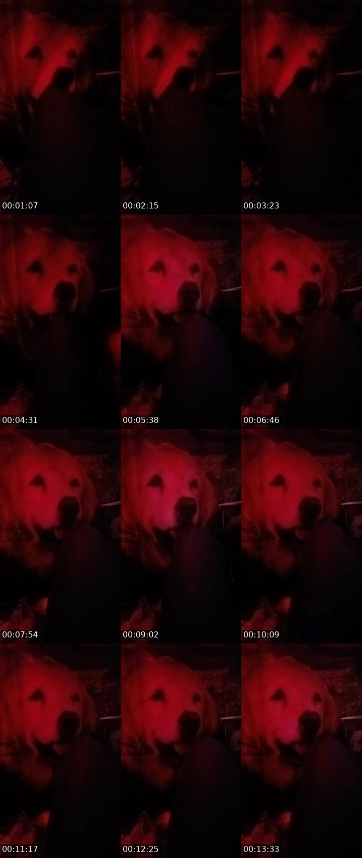 Contact-sheet preview of 🦬RL🫦💦's MICO Live recording