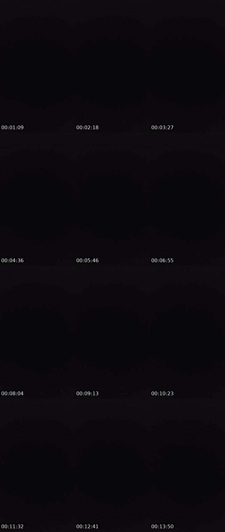 Contact-sheet preview of 〄ᶫ LΞG i̶〄И's MICO Live recording