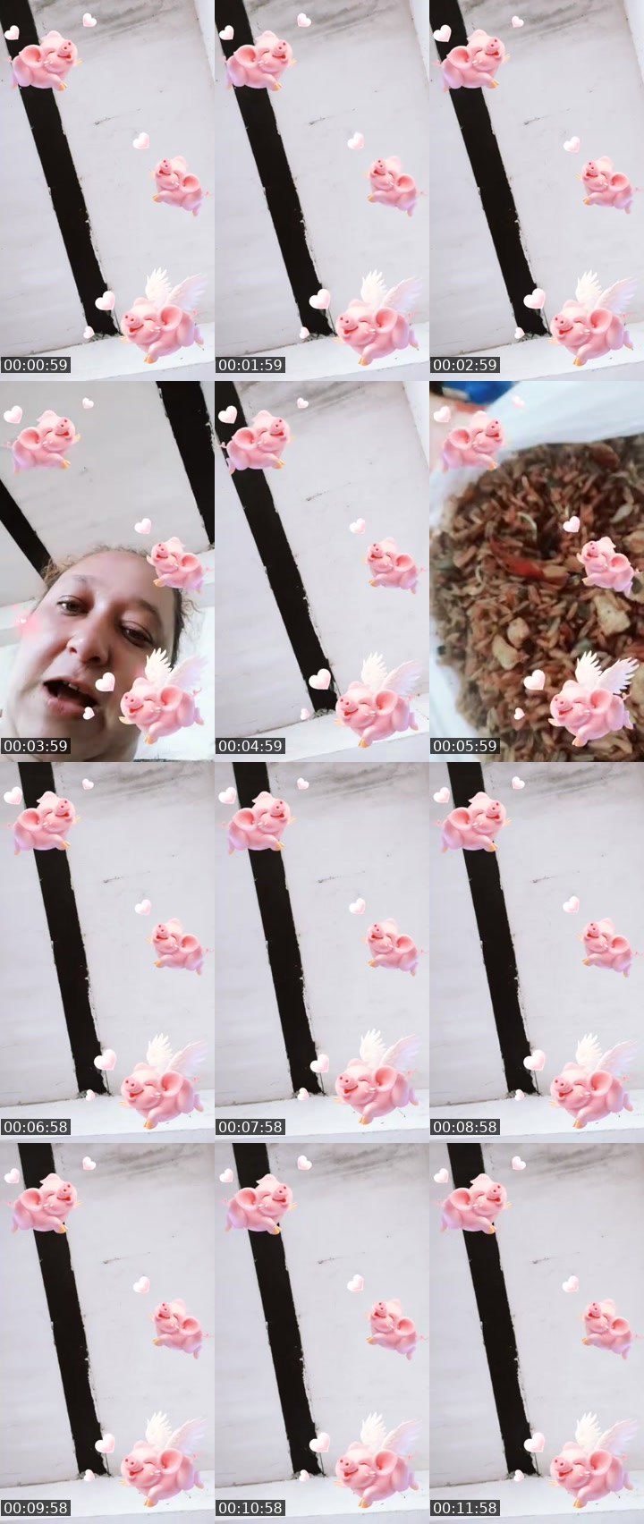 Contact-sheet preview of 🕊️🐸choris alokte's MICO Live recording