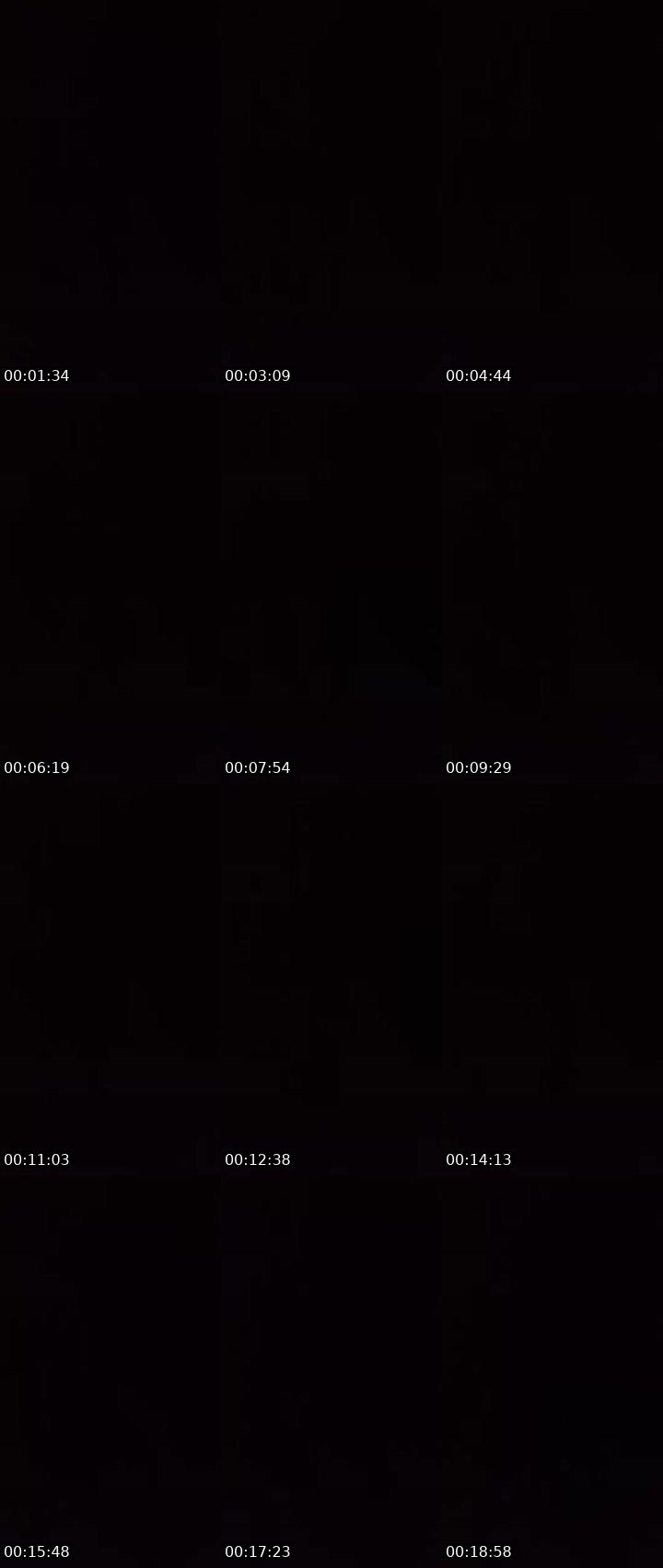 Contact-sheet preview of 🙅🏾‍♂️ 🦅120kGifty   🙅's MICO Live recording