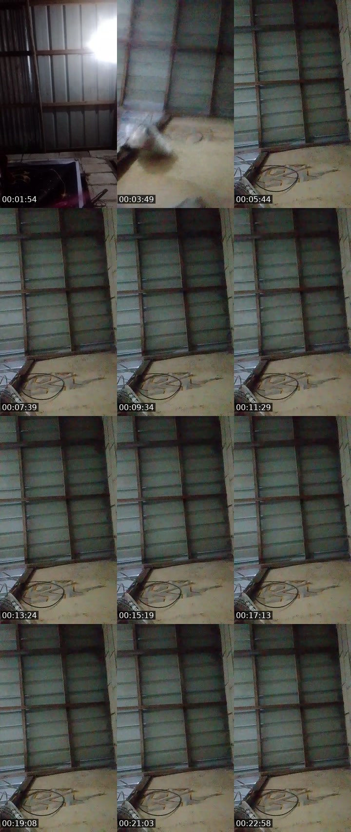 Contact-sheet preview of ♋LYNZKIEʷ🎱ᵂᵃᵛᵉˢ's MICO Live recording