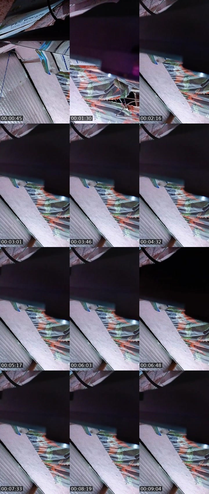Contact-sheet preview of 🐺𝓔𝓵𝔂🎱ᵂᵃᵛᵉˢ's MICO Live recording