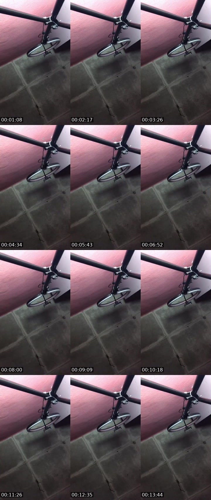 Contact-sheet preview of 🙅‍♂️🤤Sandra®🙅‍♂️☻︎🦅's MICO Live recording