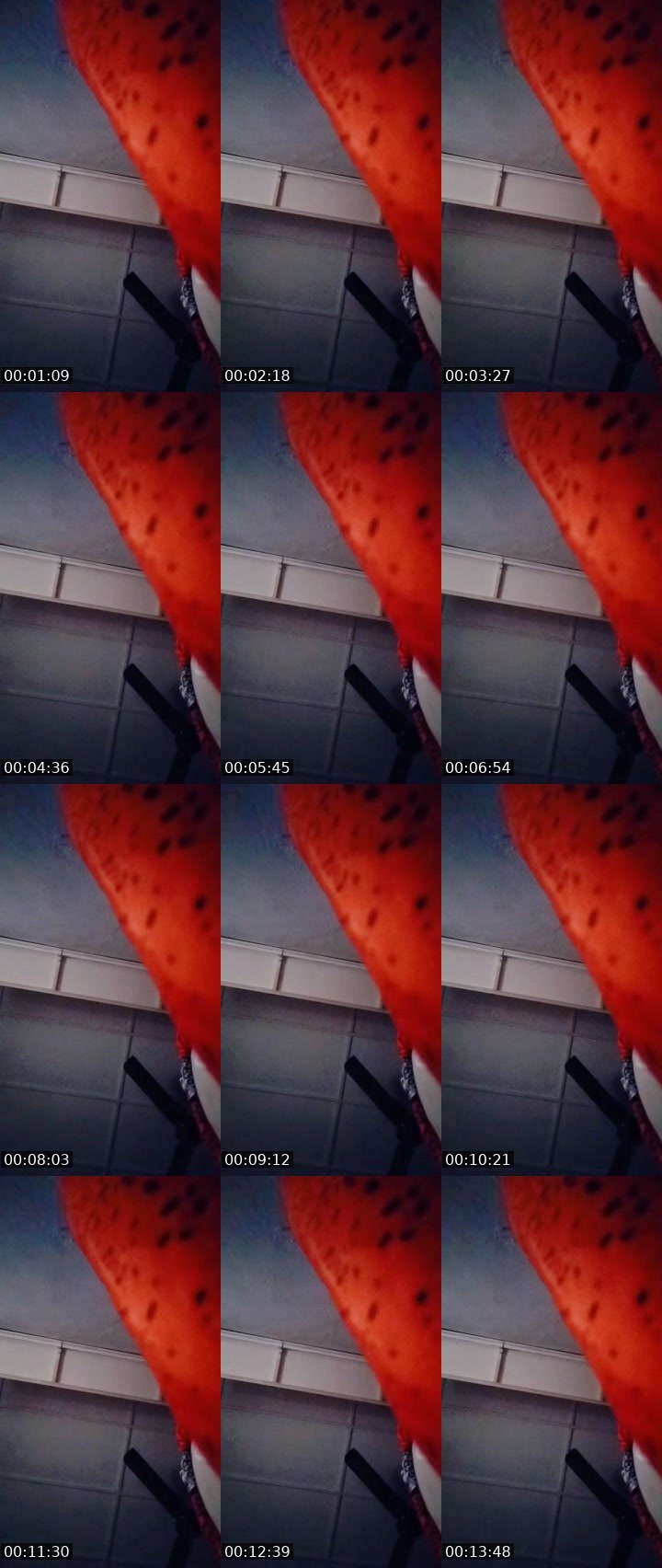 Contact-sheet preview of shasha☠️𝓗.𝓬𝓸𝓻𝓮's MICO Live recording