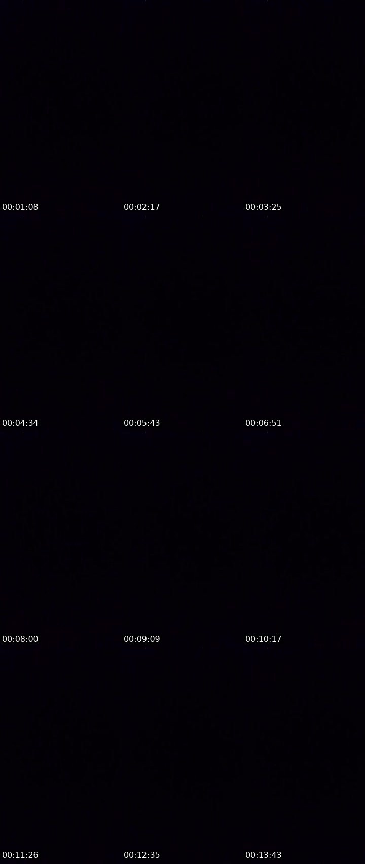 Contact-sheet preview of ₚₐₚᵢcₕᵤₗₗₒˣ𝖆𝖚𝖑 [𝙴𝙲𝙻𝙿𝚂]'s MICO Live recording