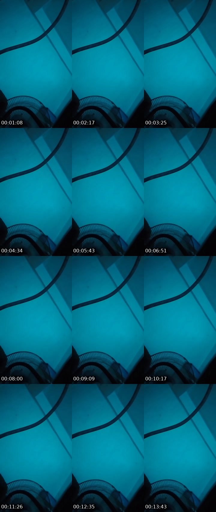 Contact-sheet preview of 𝐋o¡d♿🏴‍☠️Þs¡'s MICO Live recording