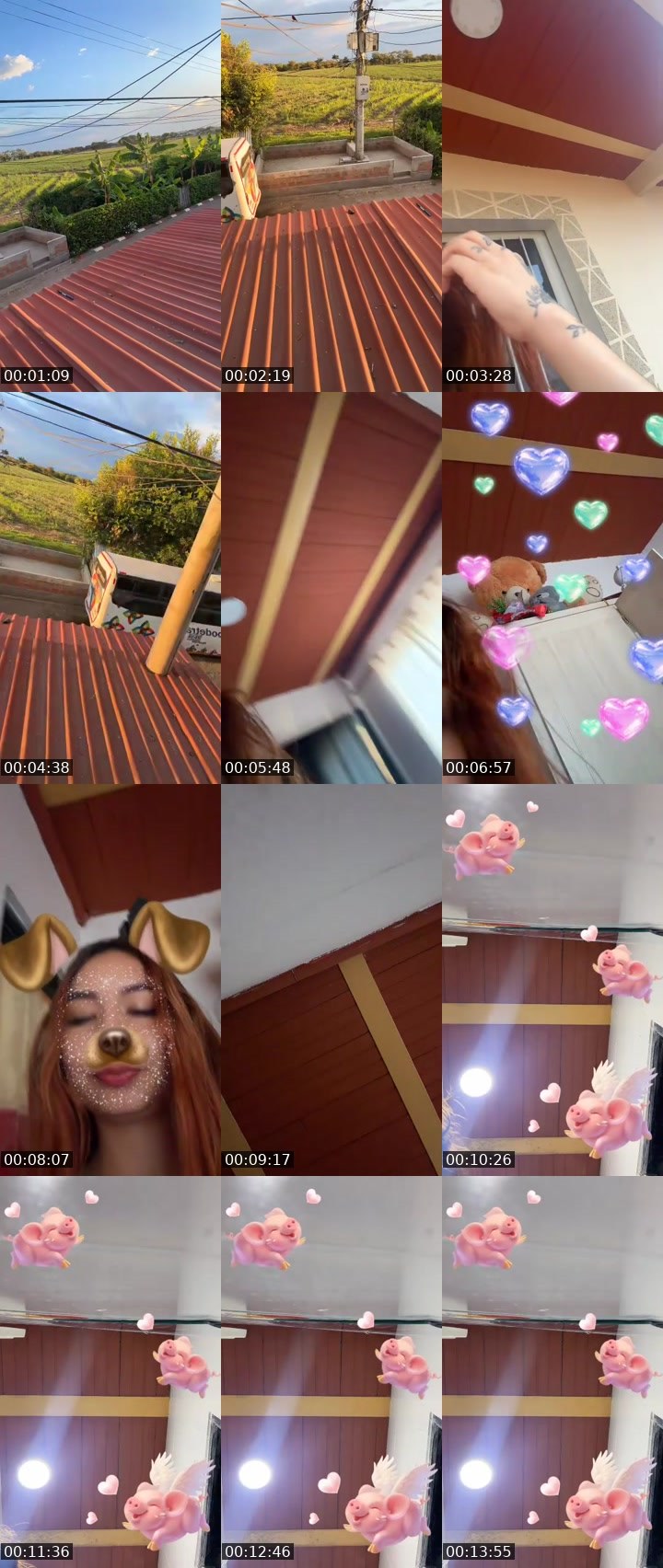 Contact-sheet preview of 🌿Dudiiii's MICO Live recording