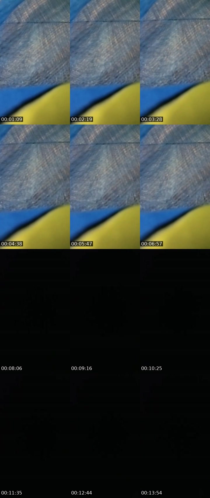 Contact-sheet preview of 🙀ᴸᴹMARGO🦋💠's MICO Live recording