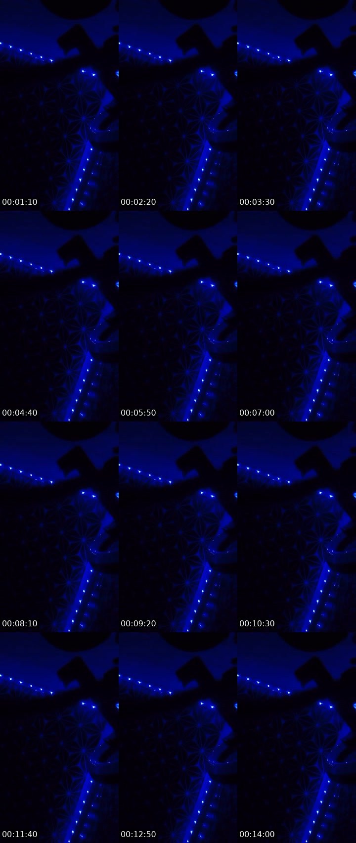 Contact-sheet preview of ☪️ÇHÍNÉÉ 🍀MHA7741's MICO Live recording