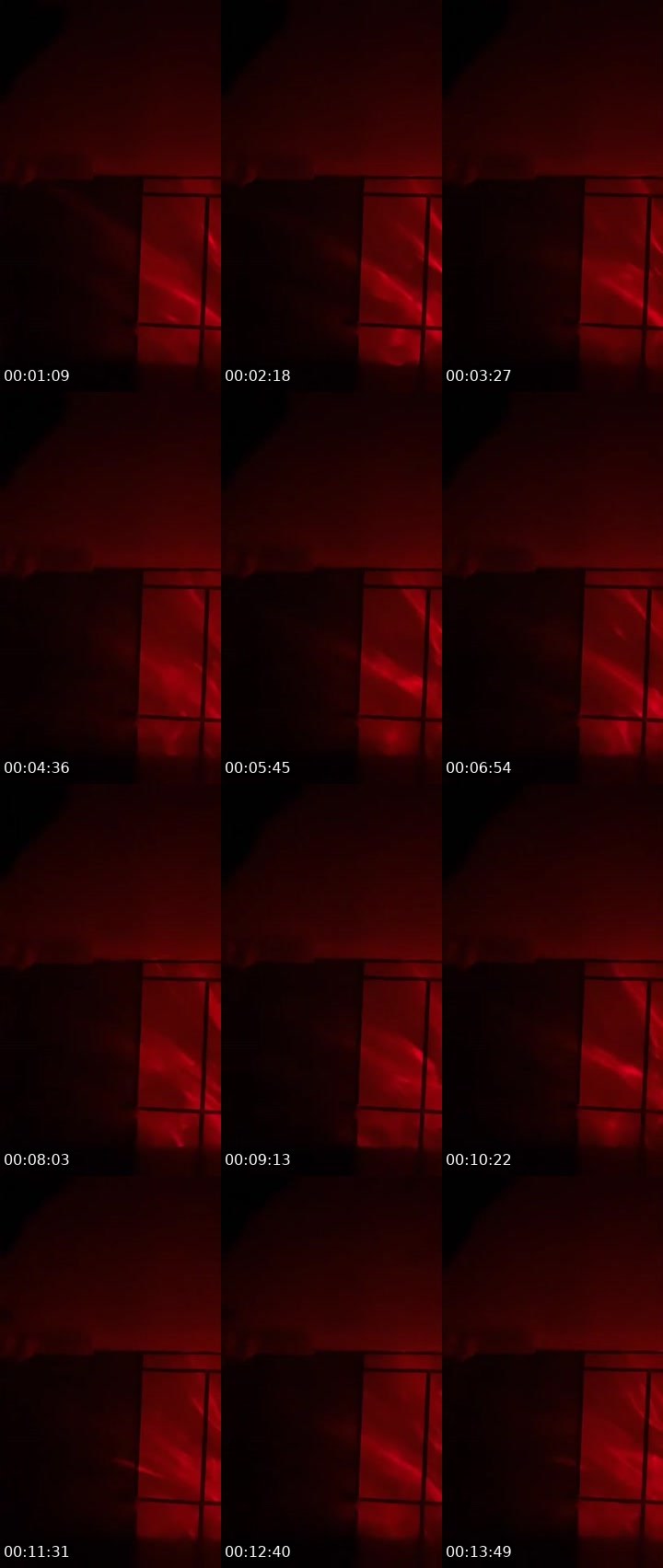 Contact-sheet preview of HEAVENLY🐾's MICO Live recording
