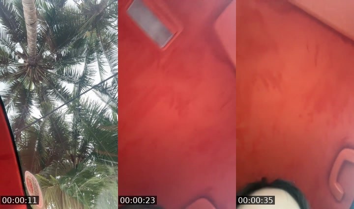 Contact-sheet preview of Tiger🐯's MICO Live recording