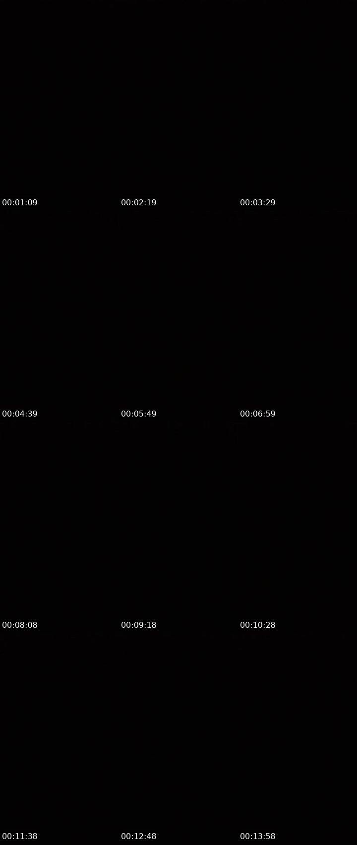 Contact-sheet preview of SILENT's MICO Live recording