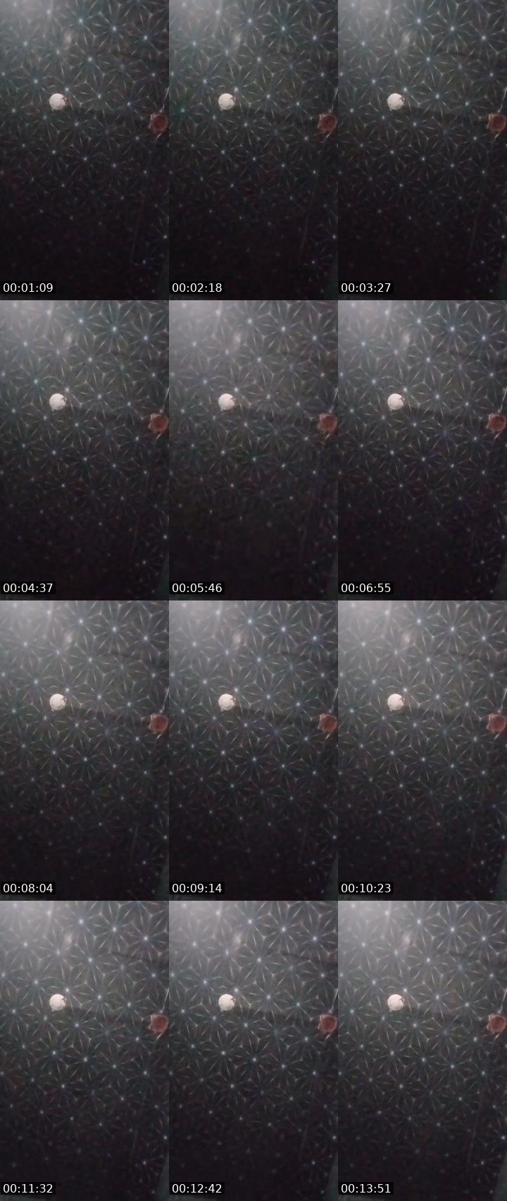 Contact-sheet preview of 🙀ᴸᴹYIELLY💠's MICO Live recording