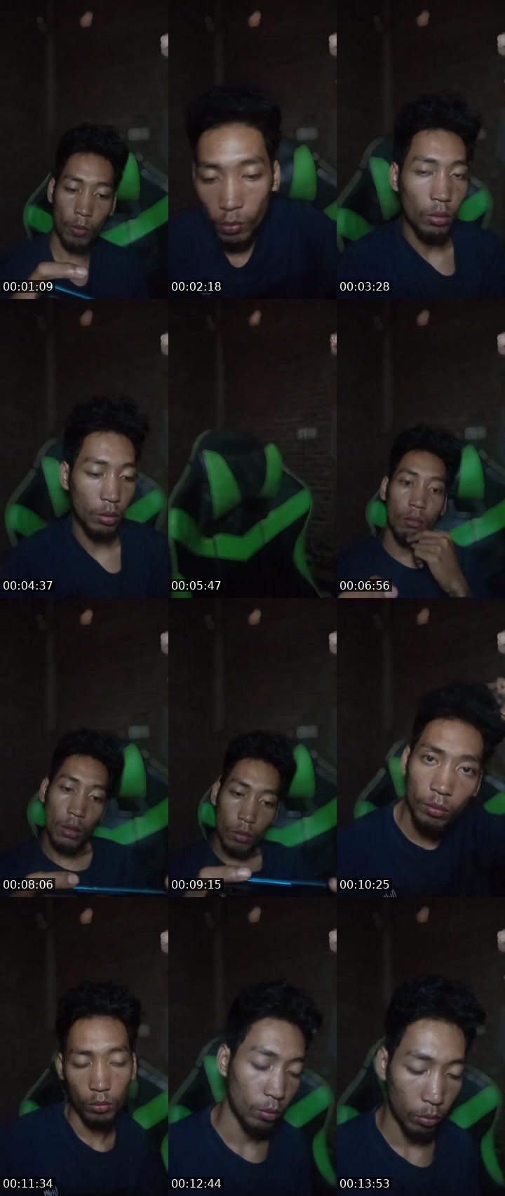 Contact-sheet preview of Vert 🌧️🕵️‍♂️🐸's MICO Live recording