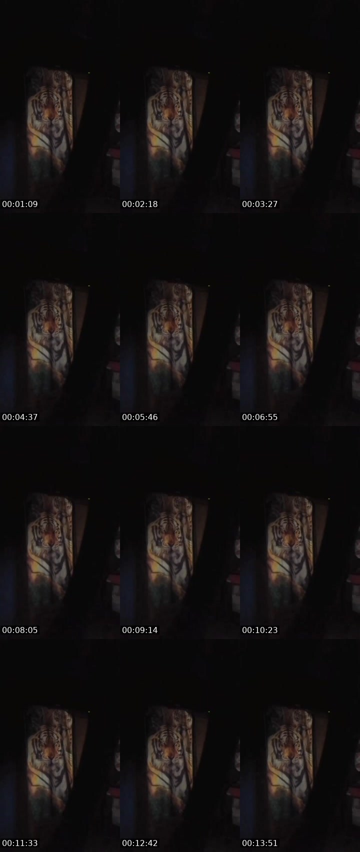 Contact-sheet preview of 𝓢ᴮ🔱PATRONA YESICA 𝓢ᴮ🔱's MICO Live recording