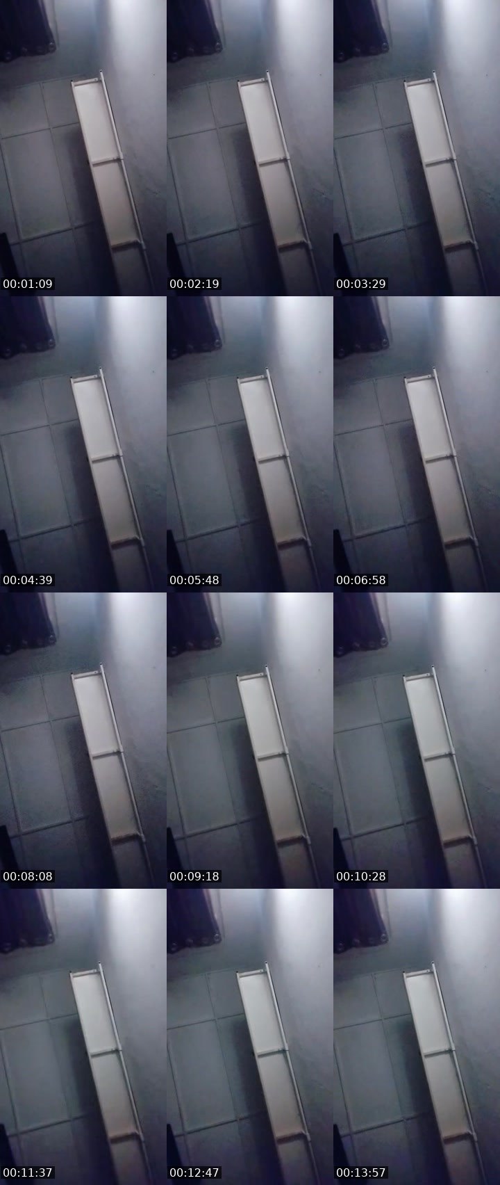Contact-sheet preview of shasha☠️𝓗.𝓬𝓸𝓻𝓮's MICO Live recording