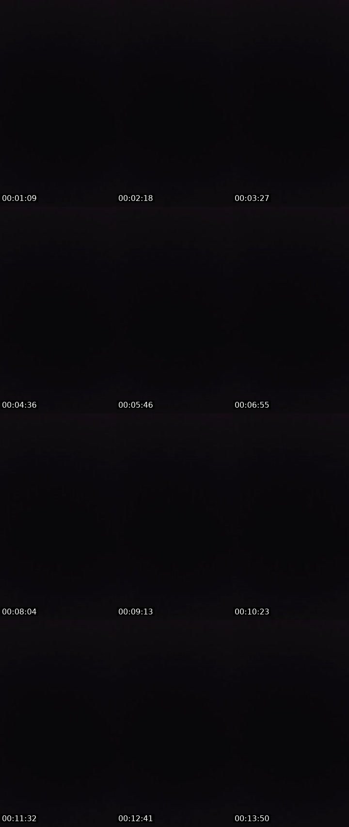 Contact-sheet preview of 〄ᶫ LΞG i̶〄И's MICO Live recording