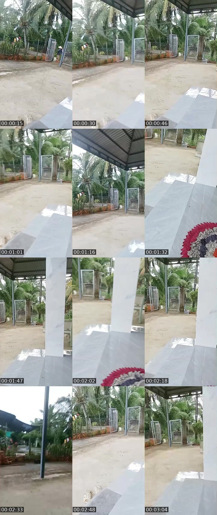 Contact-sheet preview of Co Sau's MICO Live recording