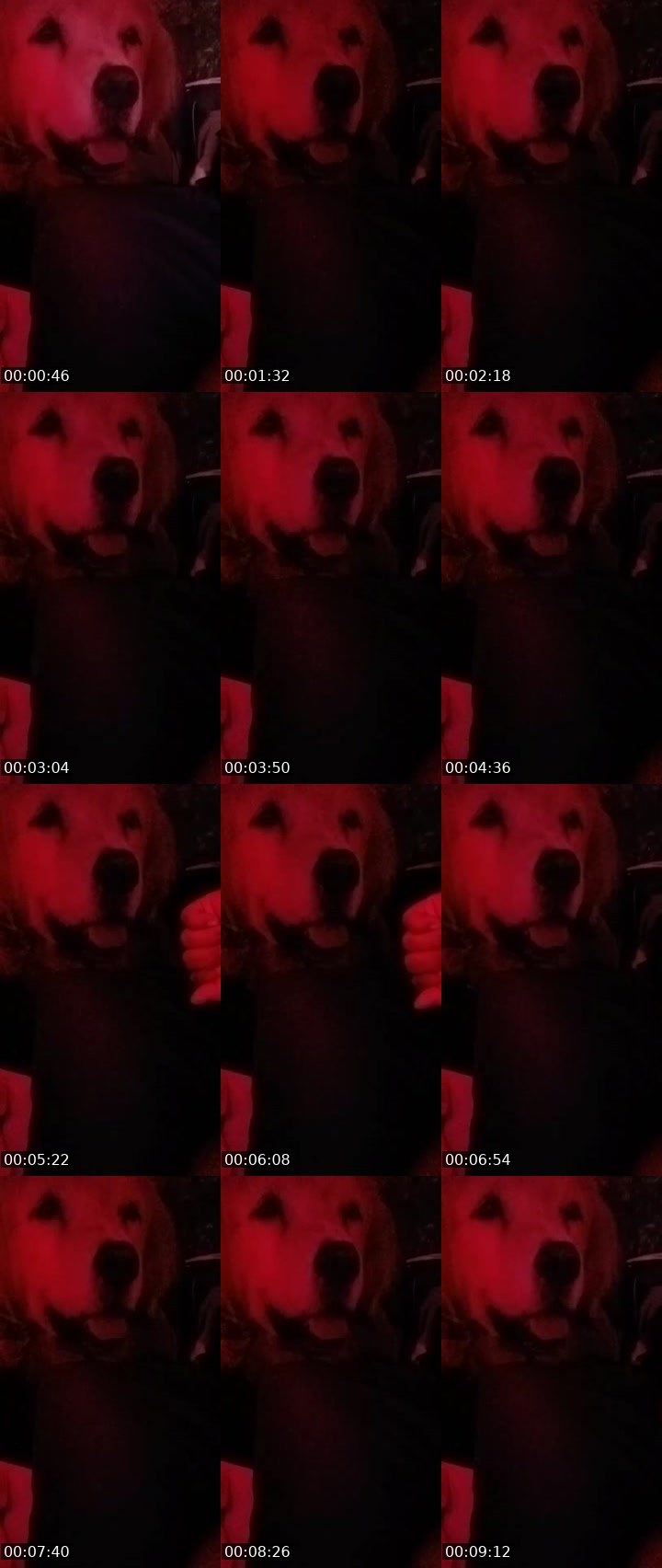 Contact-sheet preview of 🦬RL🫦💦's MICO Live recording