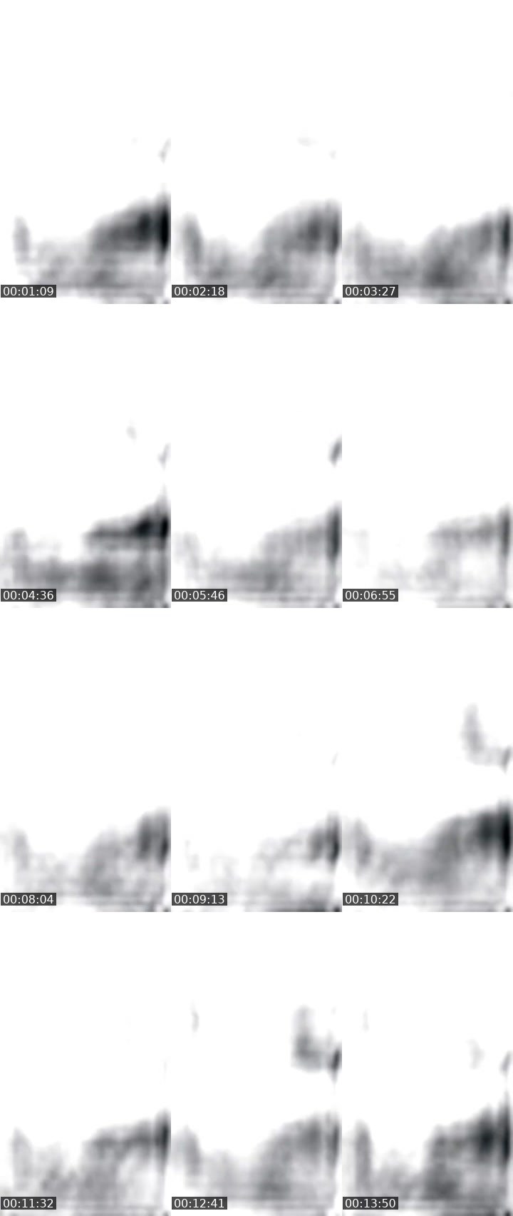Contact-sheet preview of 600k🆙👑Angel Rossy🥑's MICO Live recording