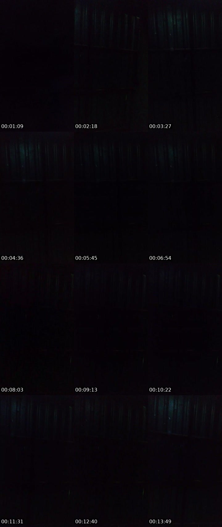 Contact-sheet preview of 𝓢ᴮ🔱🐺 ͫ🎒Adrián de Eli🥥🥃🥥's MICO Live recording