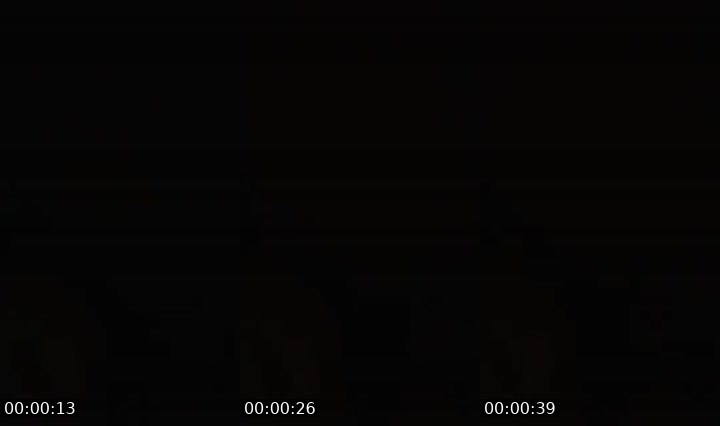 Contact-sheet preview of Nguyễn Nhi's MICO Live recording