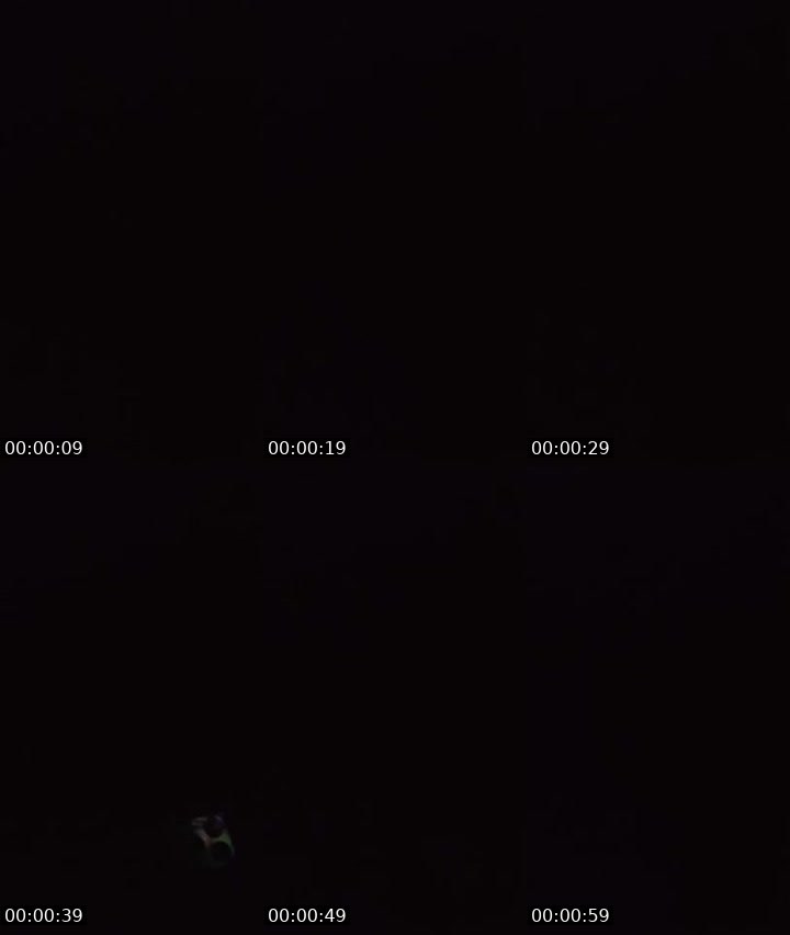 Contact-sheet preview of Clohe💫ᴹᵃᵍ's MICO Live recording