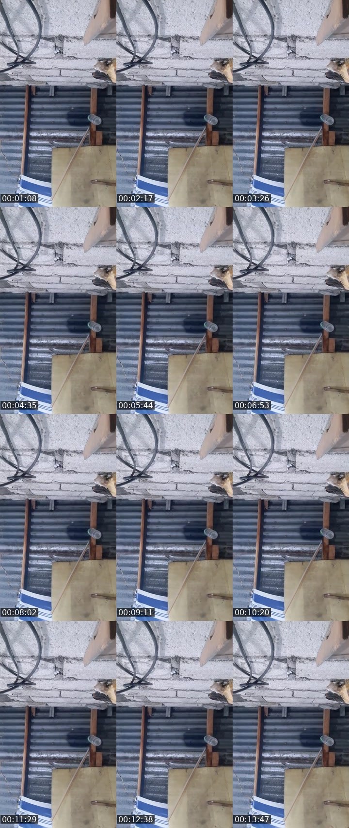 Contact-sheet preview of 🦋LIMAR ☪️ MHA-7741's MICO Live recording