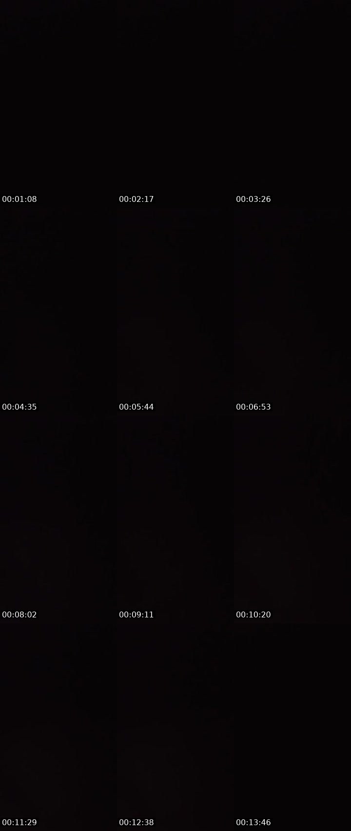 Contact-sheet preview of ❤️Shantidopeᴴᵘⁿᵗᵉʳ's MICO Live recording
