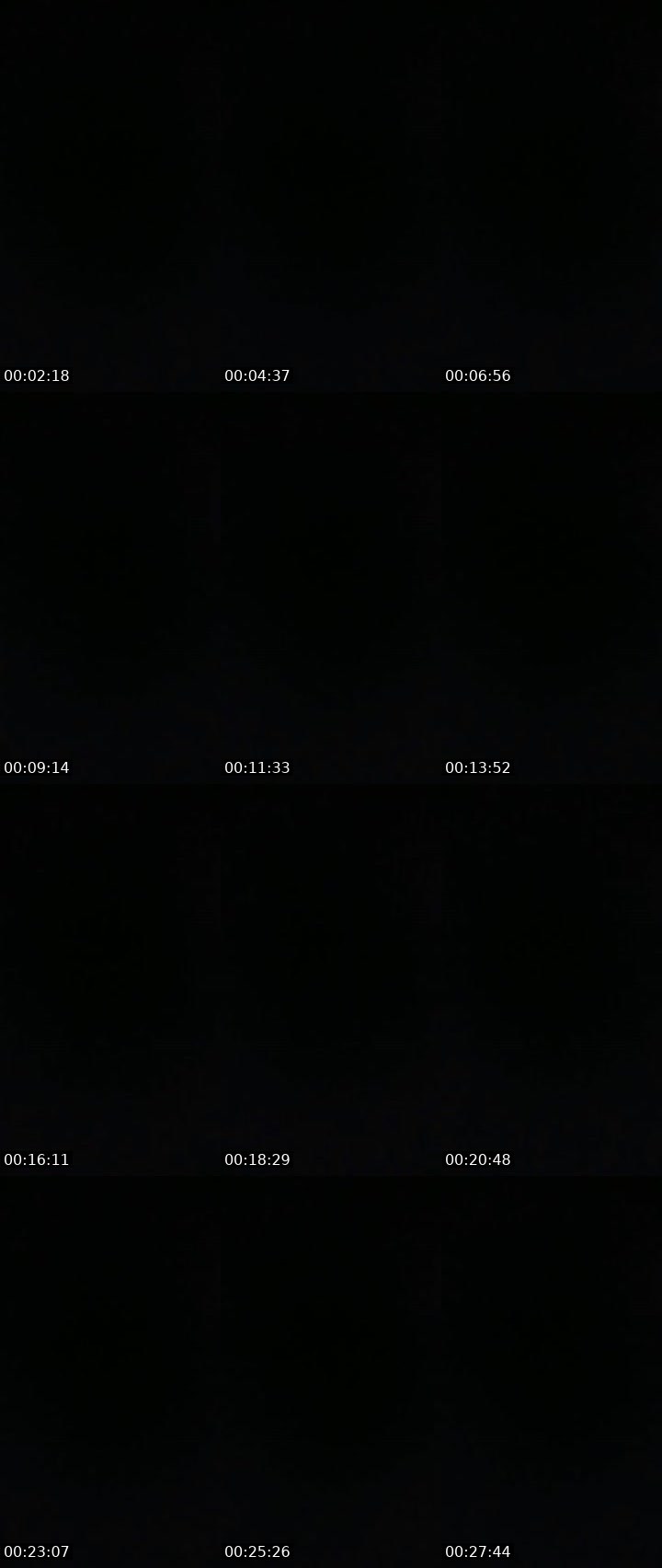 Contact-sheet preview of 🤝𝗠𝗮𝗹𝘆𝗻 🤝⁷⁰⁸³'s MICO Live recording