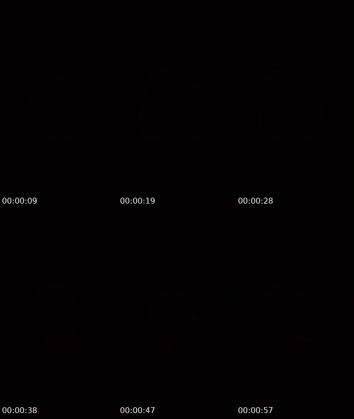 Contact-sheet preview of 🐰𝐿𝑜𝓁𝒶's MICO Live recording