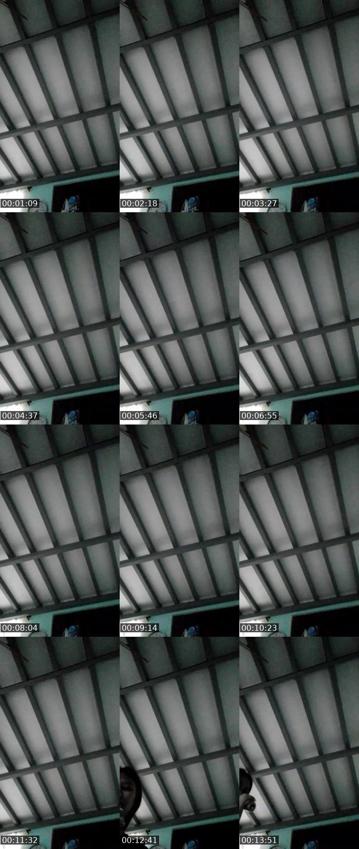 Contact-sheet preview of ☪️PřinCess🐷MHA🪽7741's MICO Live recording