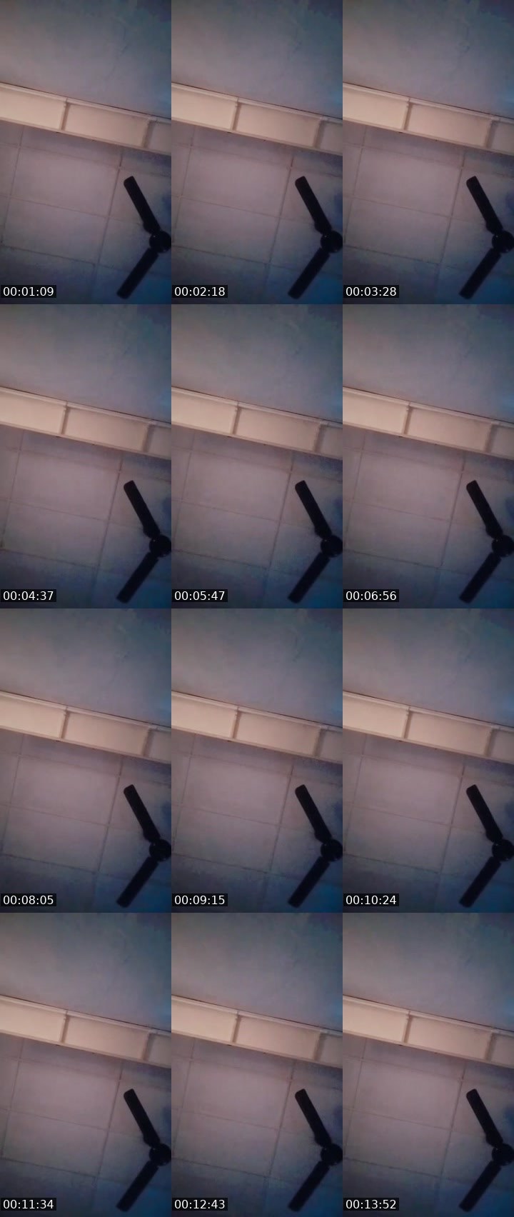 Contact-sheet preview of shasha☠️𝓗.𝓬𝓸𝓻𝓮's MICO Live recording