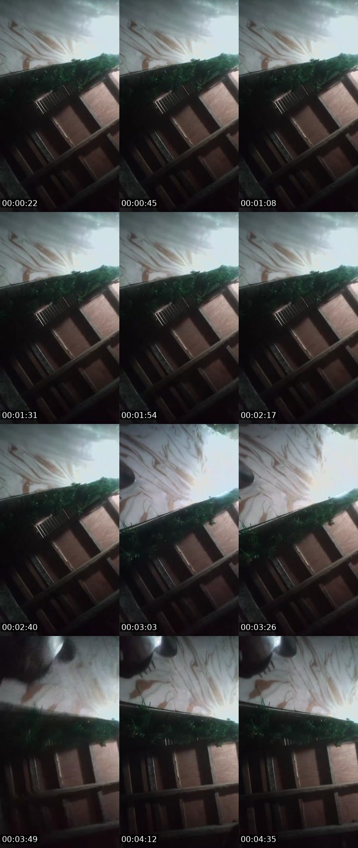 Contact-sheet preview of 🙀ᴸᴹROSELYN💠's MICO Live recording