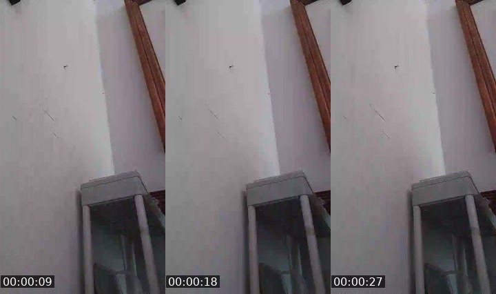 Contact-sheet preview of 🤏🏻COBRA🤏🏻domens's MICO Live recording