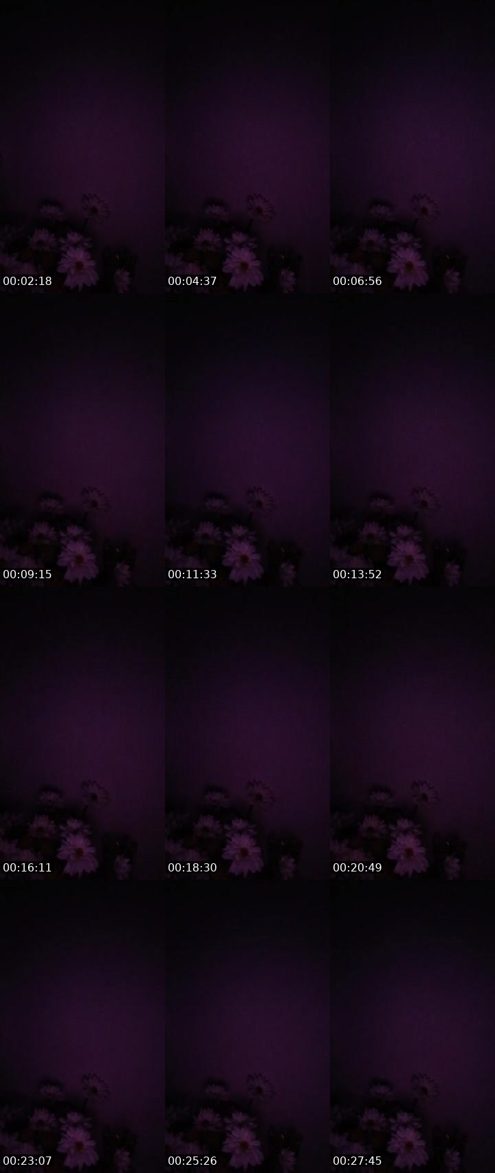 Contact-sheet preview of 🐢Luz Marina💸🤠 ⷨ's MICO Live recording