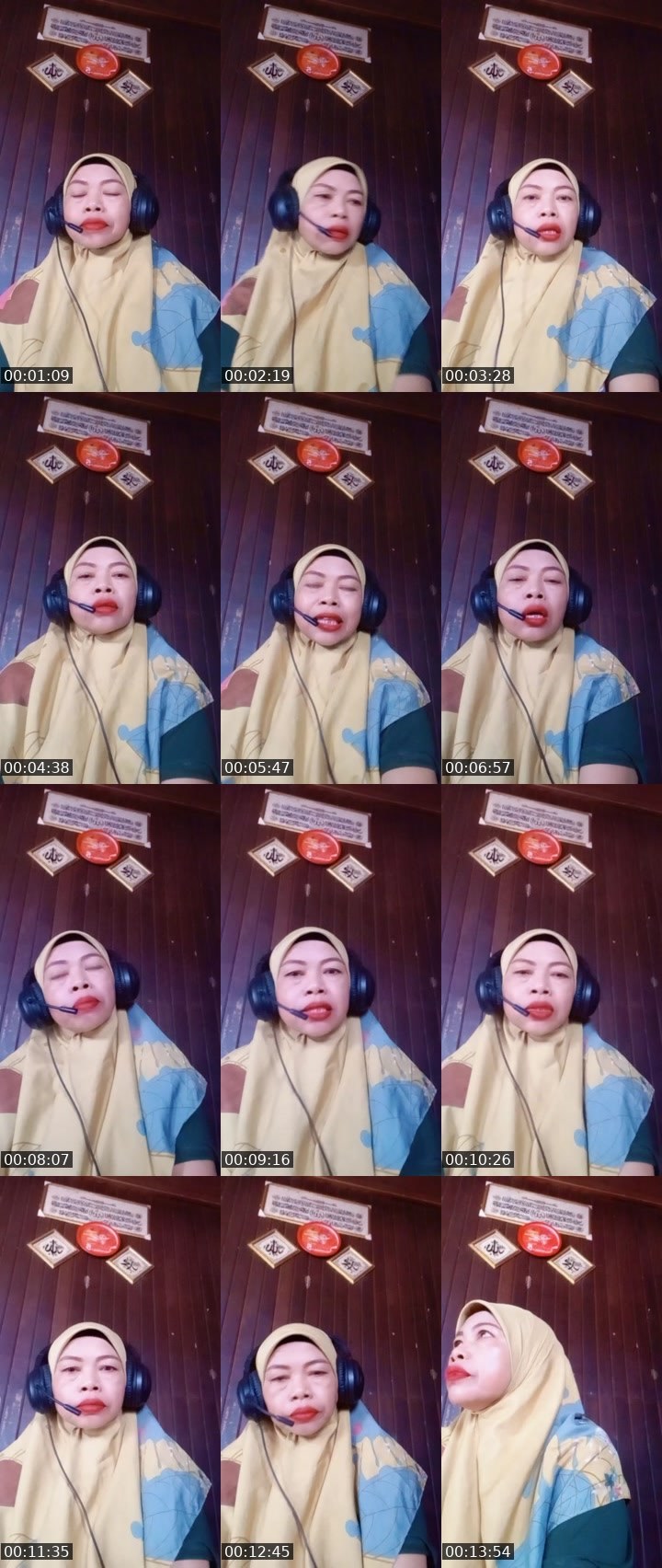 Contact-sheet preview of 🎠🧊Bunang°ᴹᴳᴿ's MICO Live recording