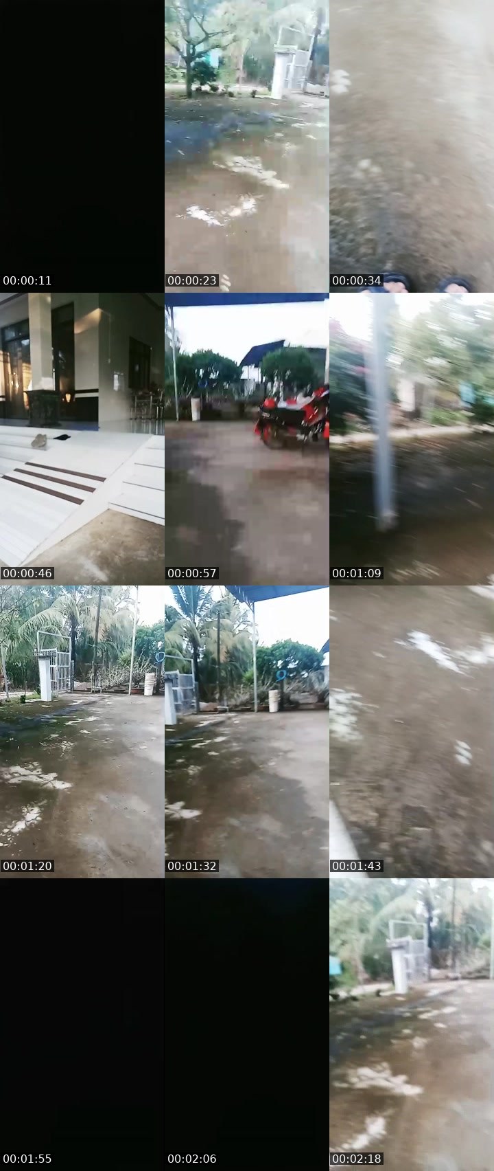 Contact-sheet preview of Co Sau's MICO Live recording