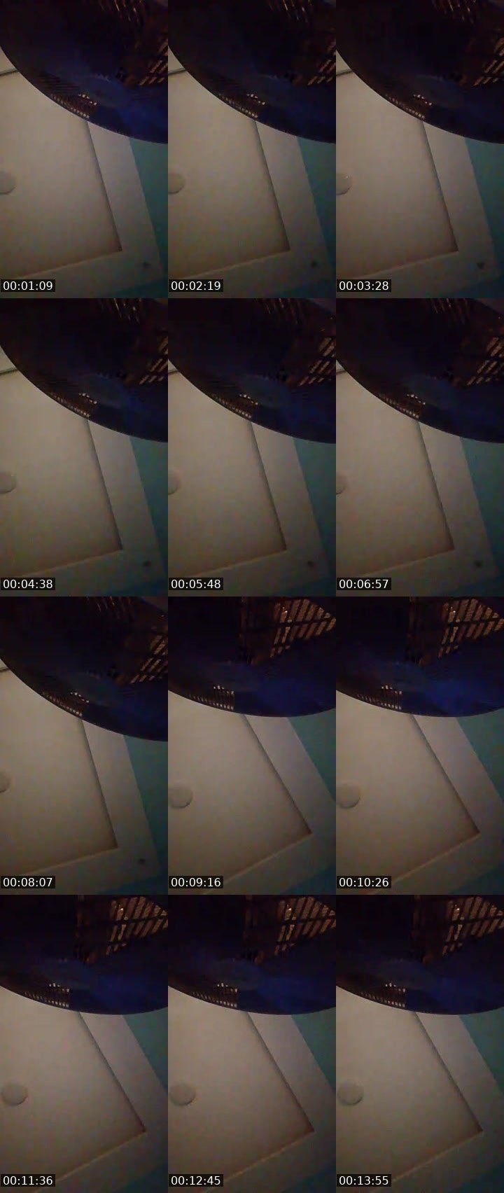 Contact-sheet preview of 🐼QUELZY🎱ᵂᵃᵛᵉˢ's MICO Live recording