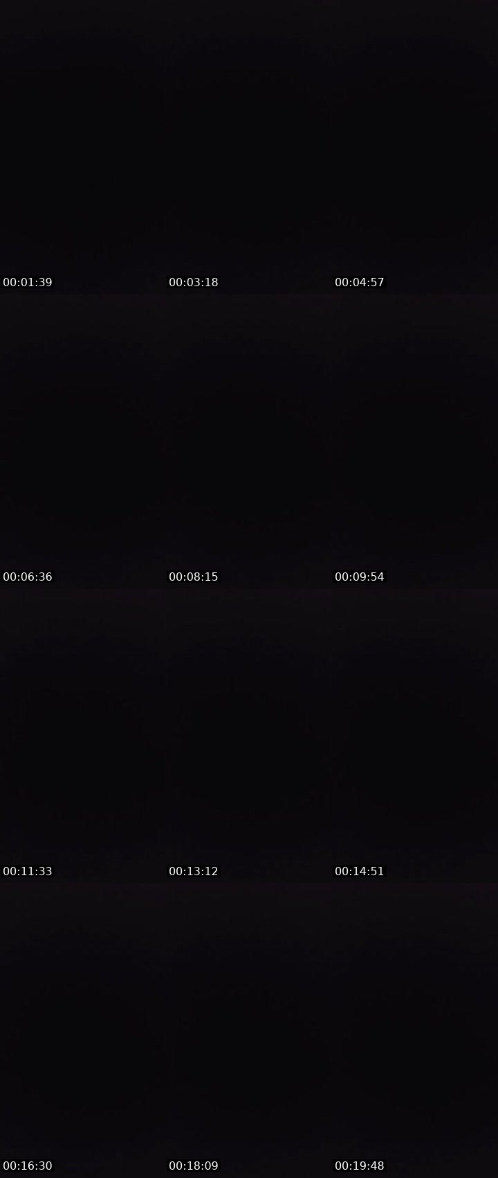 Contact-sheet preview of 〄ᶫ LΞG i̶〄И's MICO Live recording