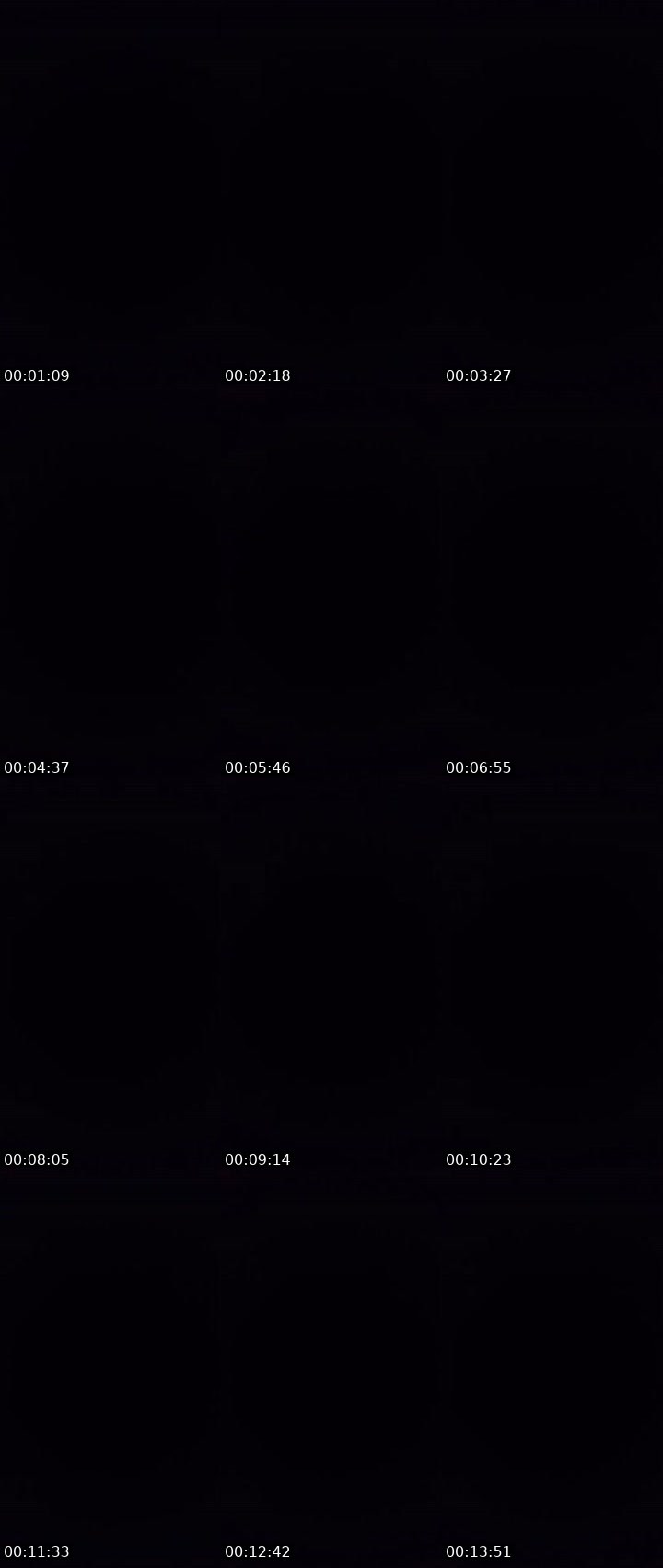 Contact-sheet preview of 🦢⃤Eͥlvͣiͫa🧩🥱☪️🌃🐾 🩵Ⰿ🎳🤙's MICO Live recording