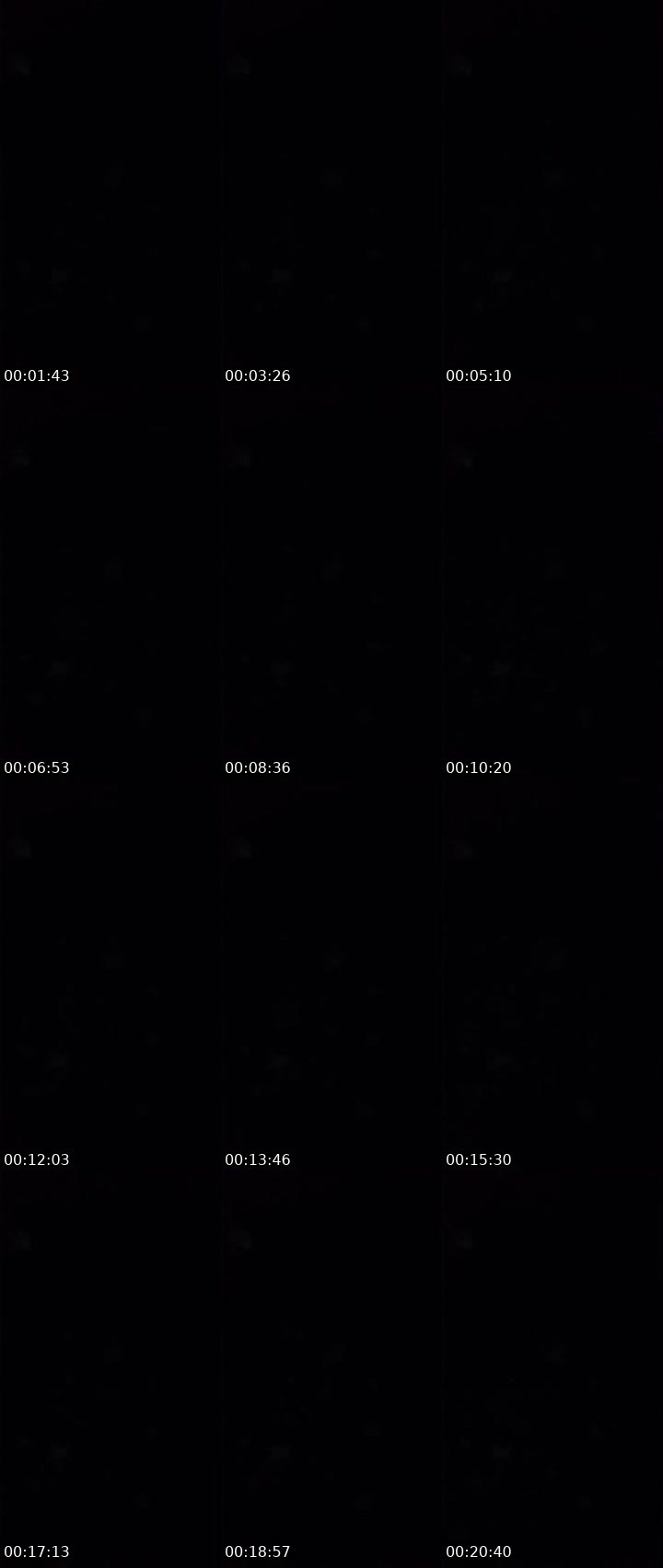 Contact-sheet preview of 🙀ᴸᴹABCD💠's MICO Live recording