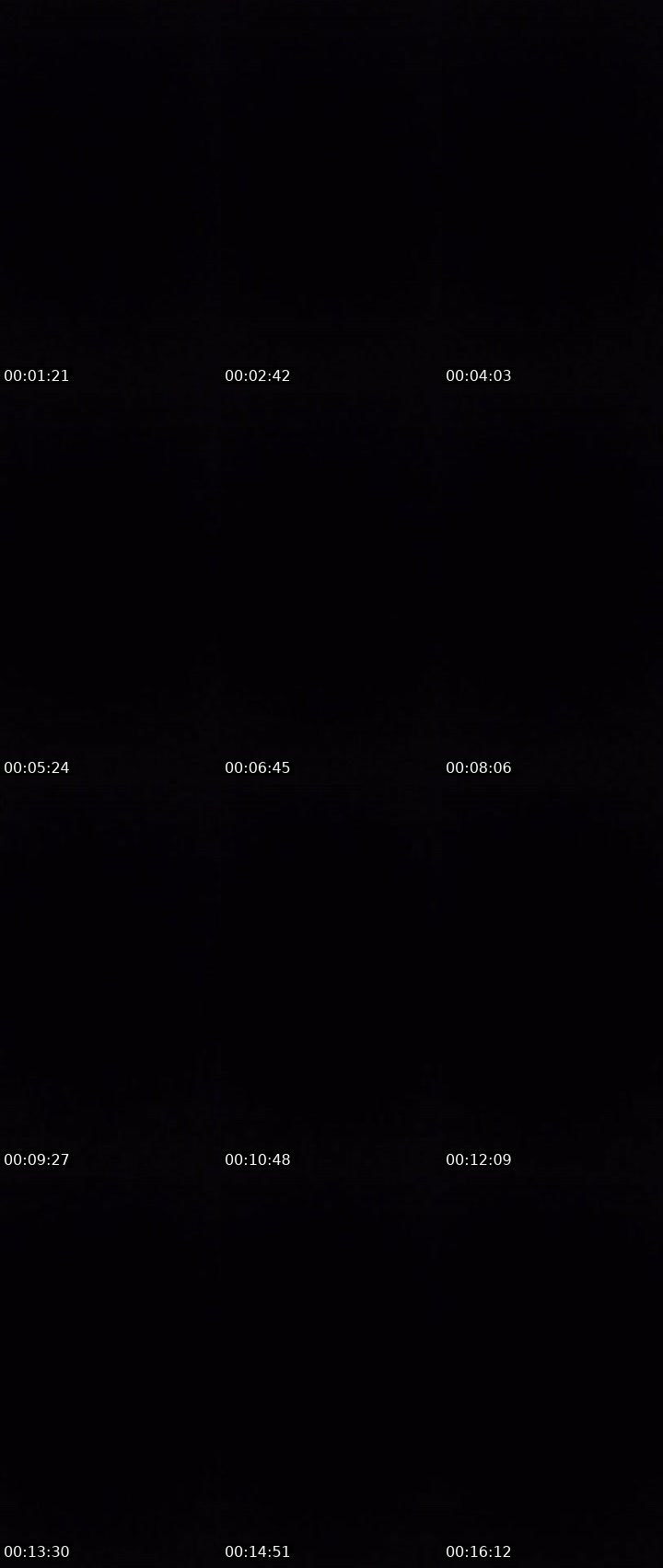Contact-sheet preview of 🙀ᴸᴹMARGO💠🦋's MICO Live recording
