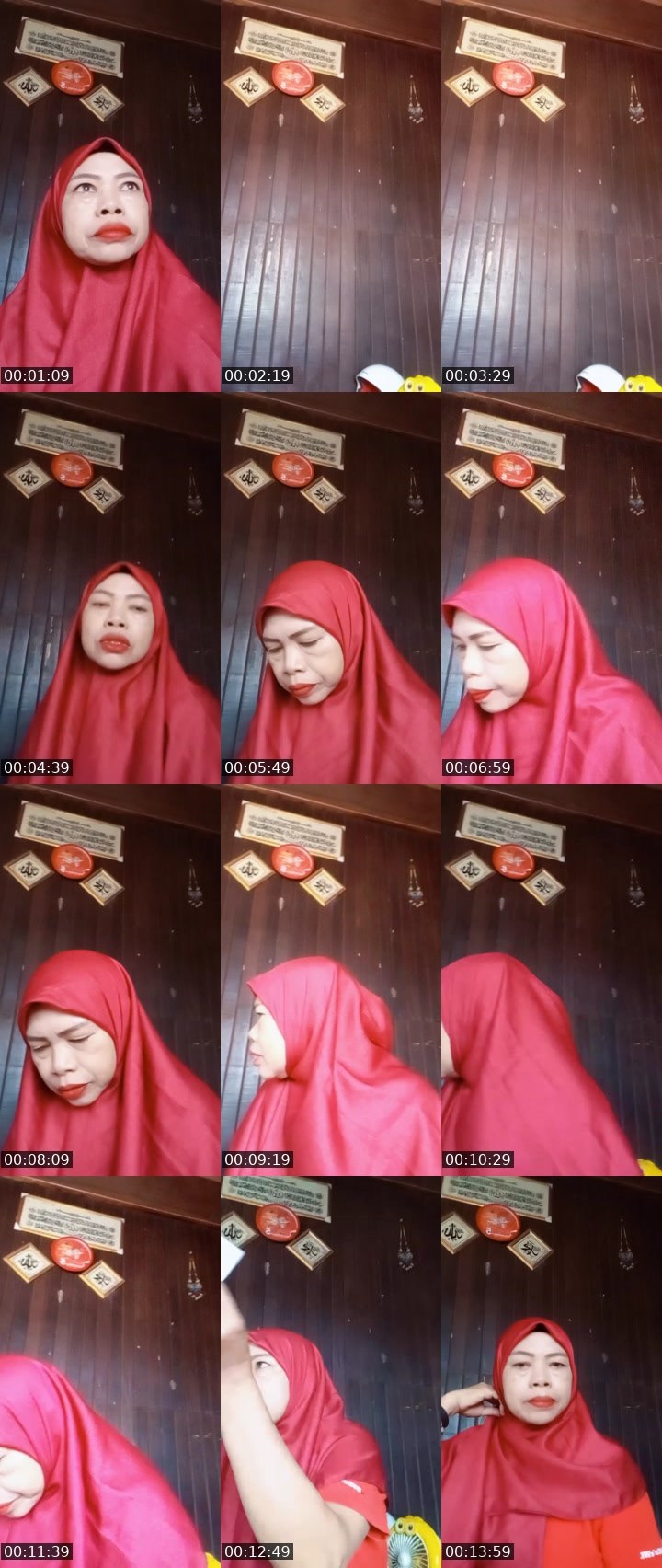 Contact-sheet preview of 🎠🧊Bunang°ᴹᴳᴿ's MICO Live recording