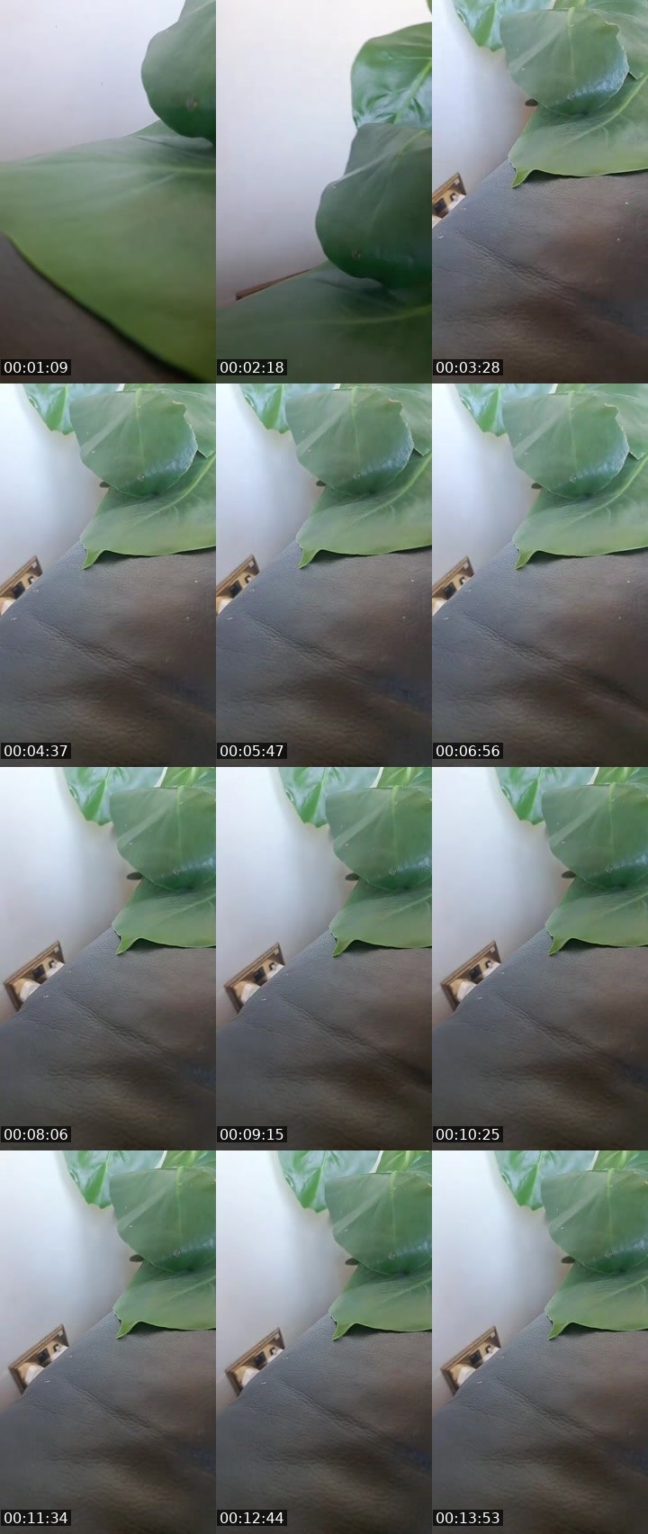 Contact-sheet preview of kudrat kaur ❤️'s MICO Live recording