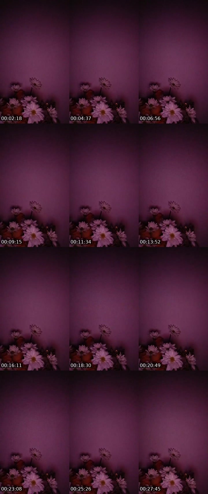 Contact-sheet preview of 🐢Luz Marina💸🤠 ⷨ's MICO Live recording