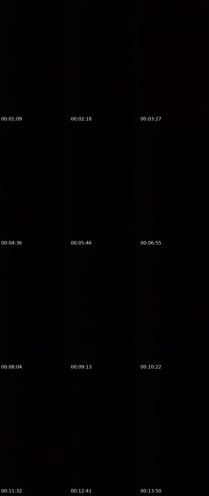 Contact-sheet preview of 🌠IVY.𝐍𝐎𝐕𝐀🌙's MICO Live recording